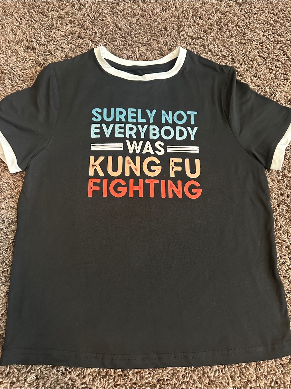 NWOT- 'Surely Not Everybody Was Kung Fu Fighting'